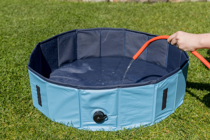Dog Pool