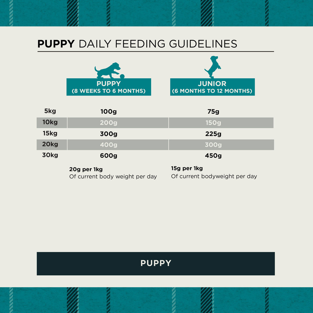 Burns puppy and junior daily feeding guide by body weight