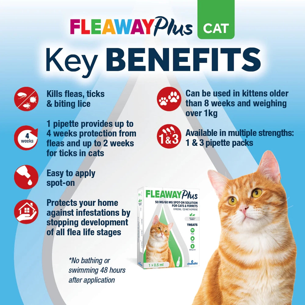 Fleaway Plus Spot-On for Cats and Ferrets - Main Image