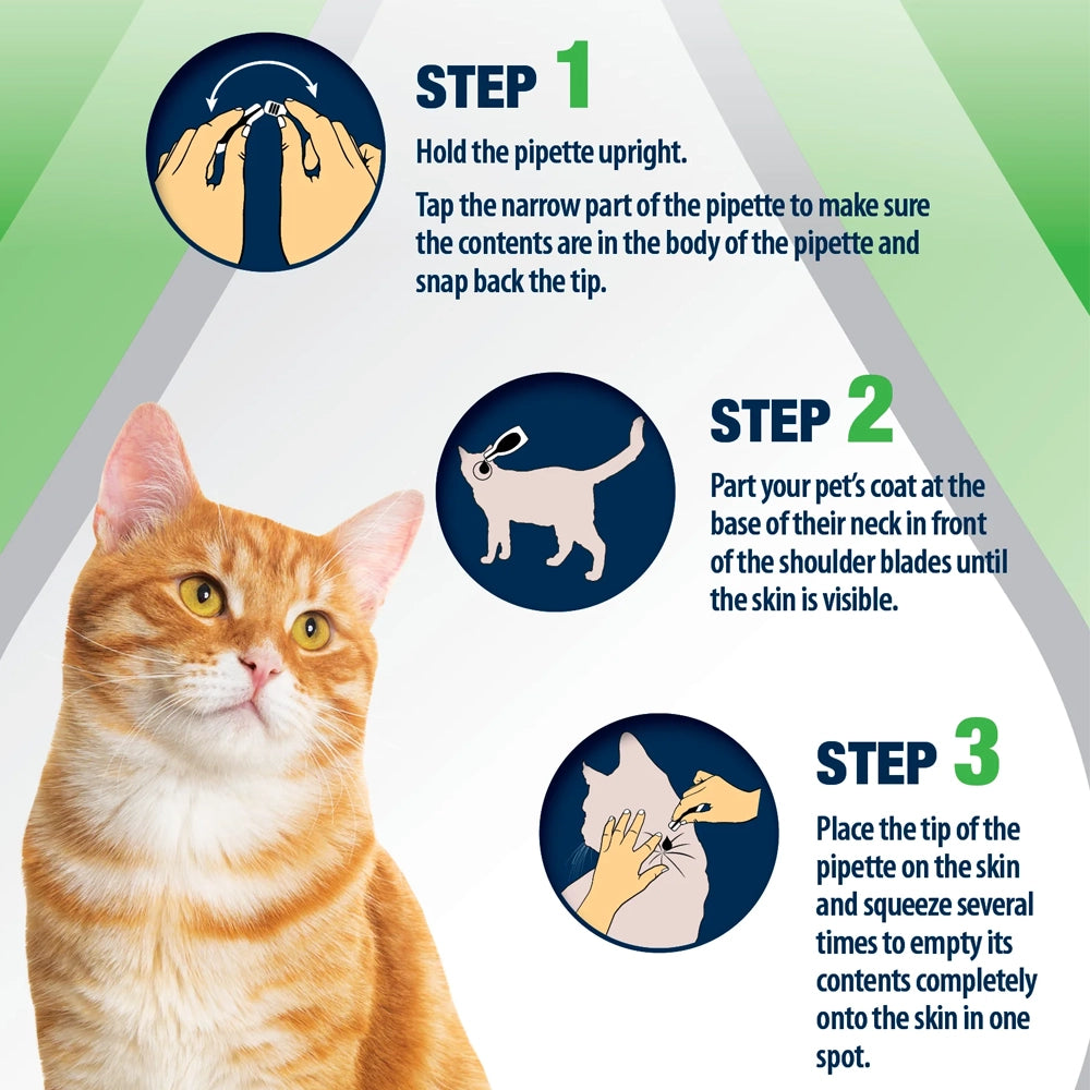 Fleaway Plus Spot-On for Cats and Ferrets Petworld