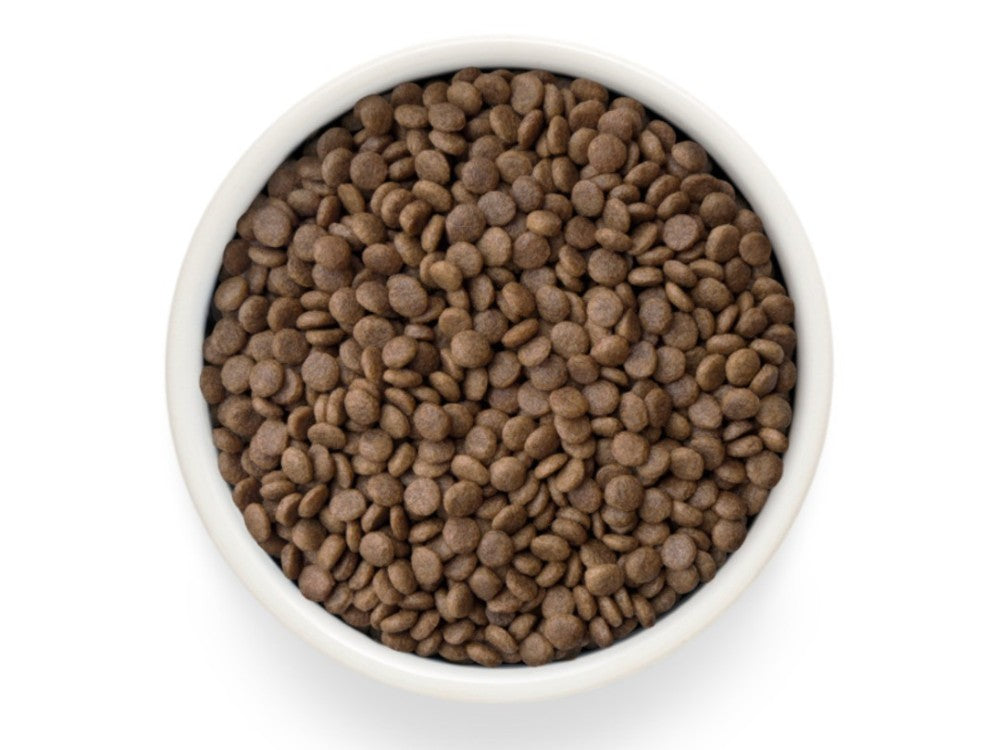Grandorf Grain Free Cat Fresh Turkey 400g