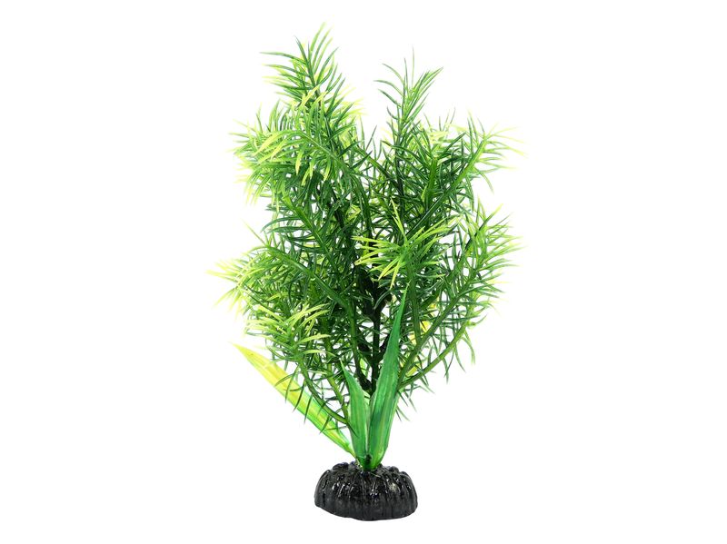 Green Varigated Fir Plastic Plant 8" /20cm
