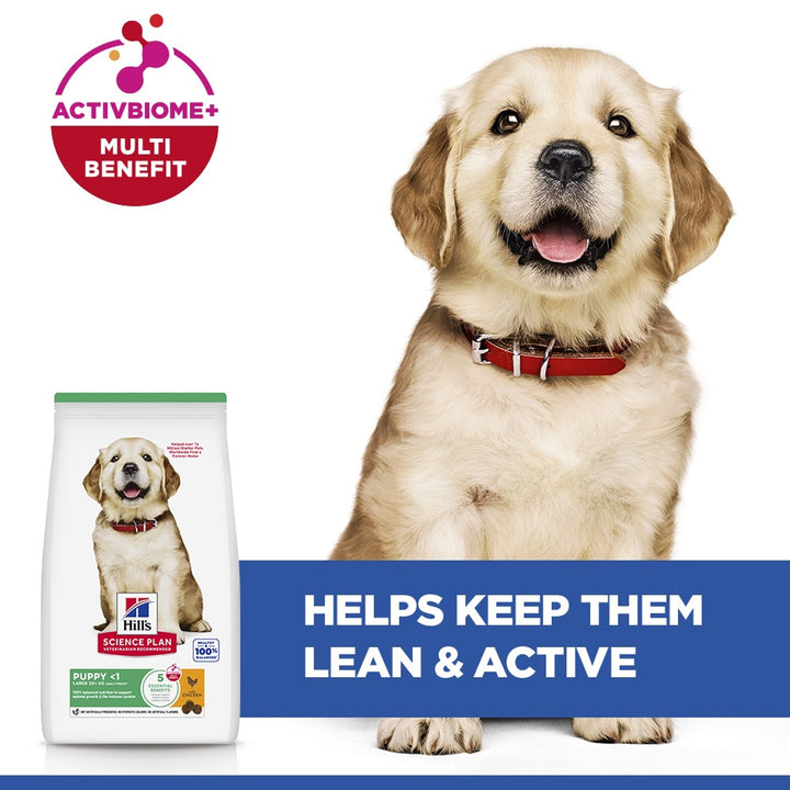 Hill's Science Plan Large Breed Puppy with ActivBiome+ Multi Benefit, puppy beside the bag