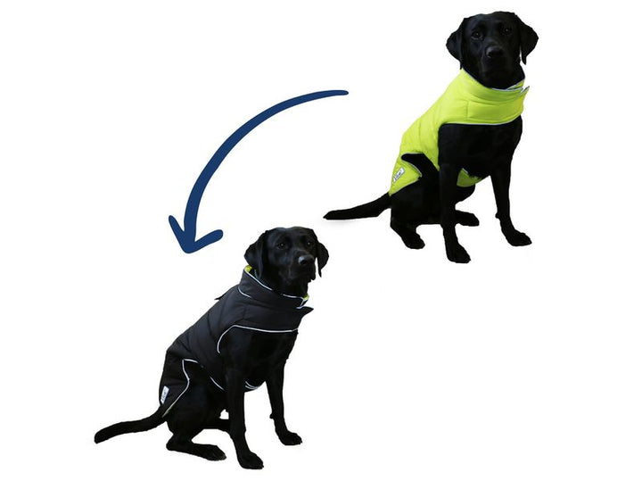 Viva Reversible Dog Coat Black/HiVis