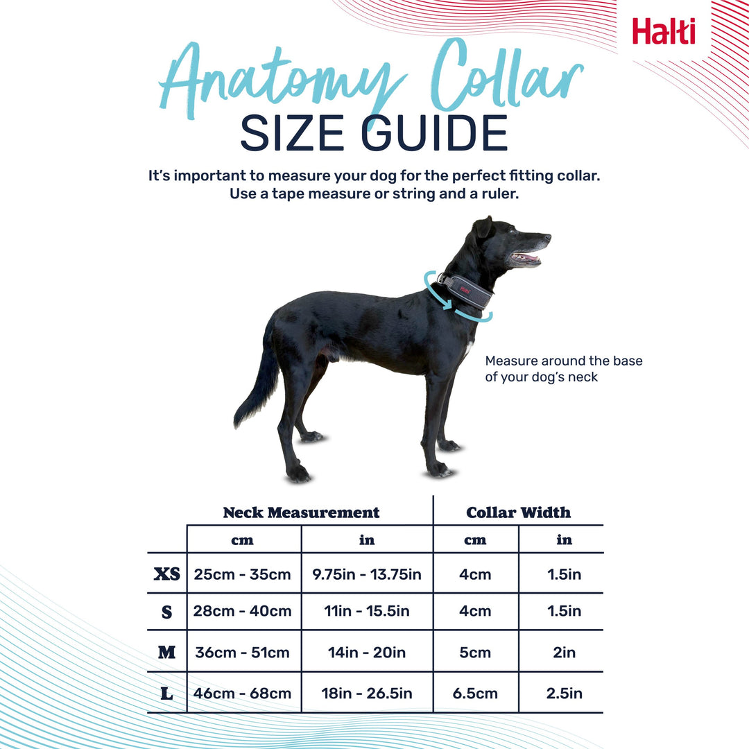 Halti Anatomy Dog Collar