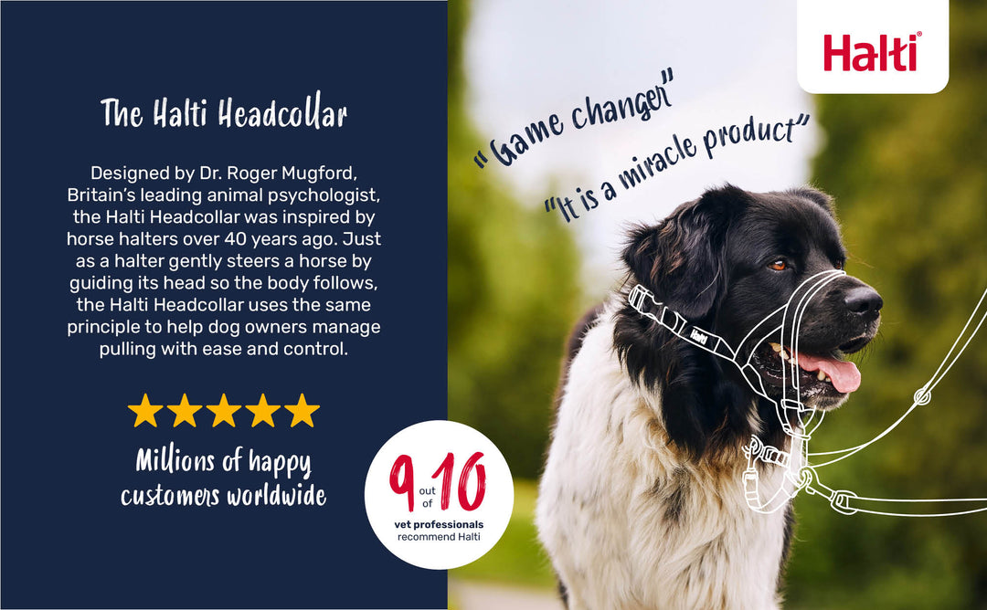 Halti Headcollar for Dogs