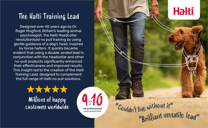 Halti Dog Training Lead