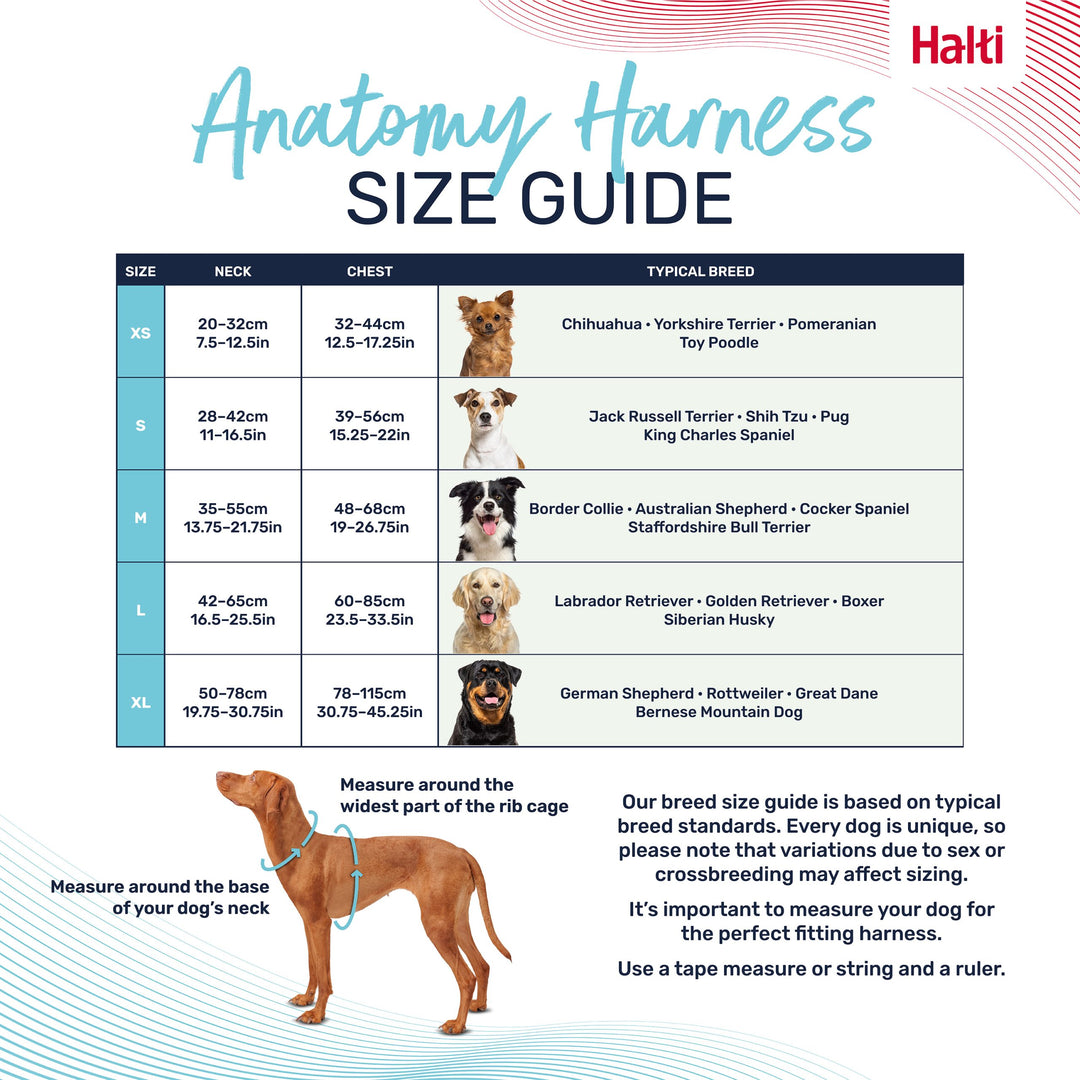 Halti Anatomy Dog Harness