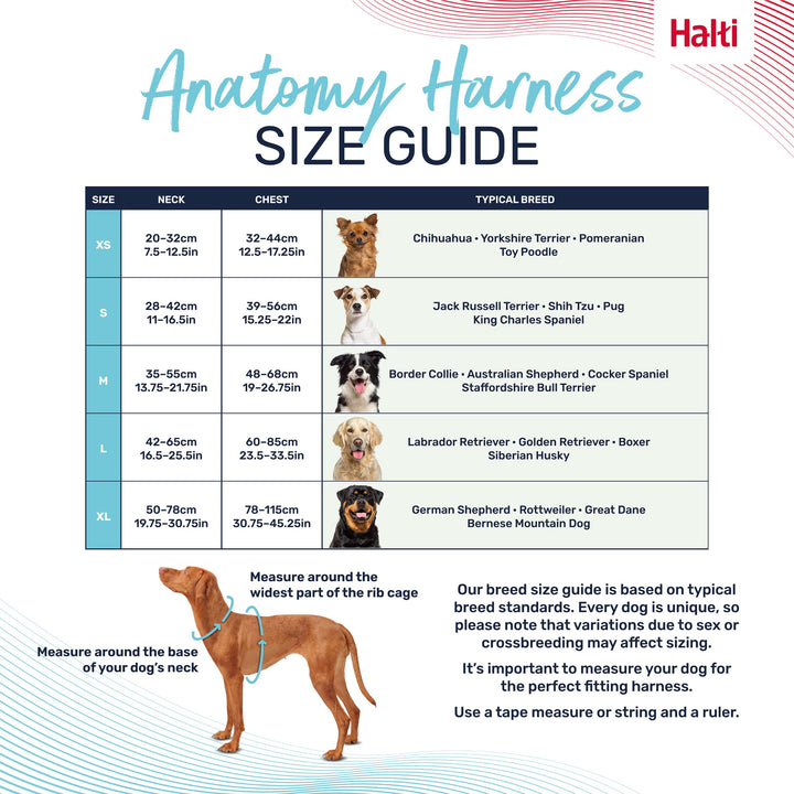 Halti Anatomy Dog Harness