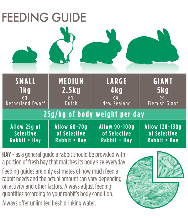 Science Selective House Rabbit feeding guide: 25g per kg body weight per day, from small to giant rabbits