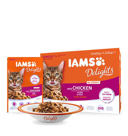 IAMS Delights with Chicken in Gravy for Senior Cats