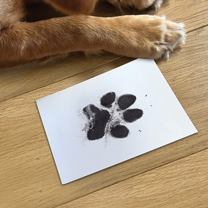 Finished dog paw print on card made with the Oh So Precious XL ink pad kit