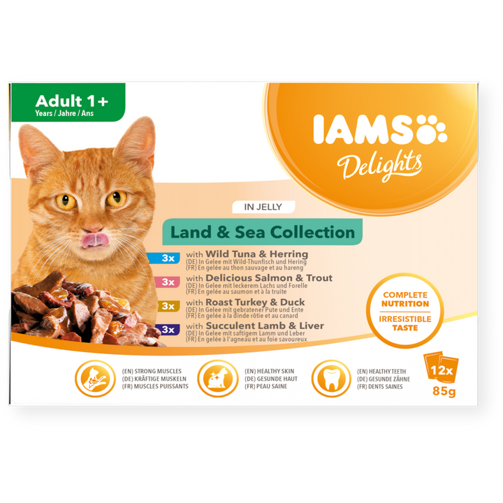 IAMS Delights Adult Land & Sea Collection in Jelly 12x85g multipack, front of box