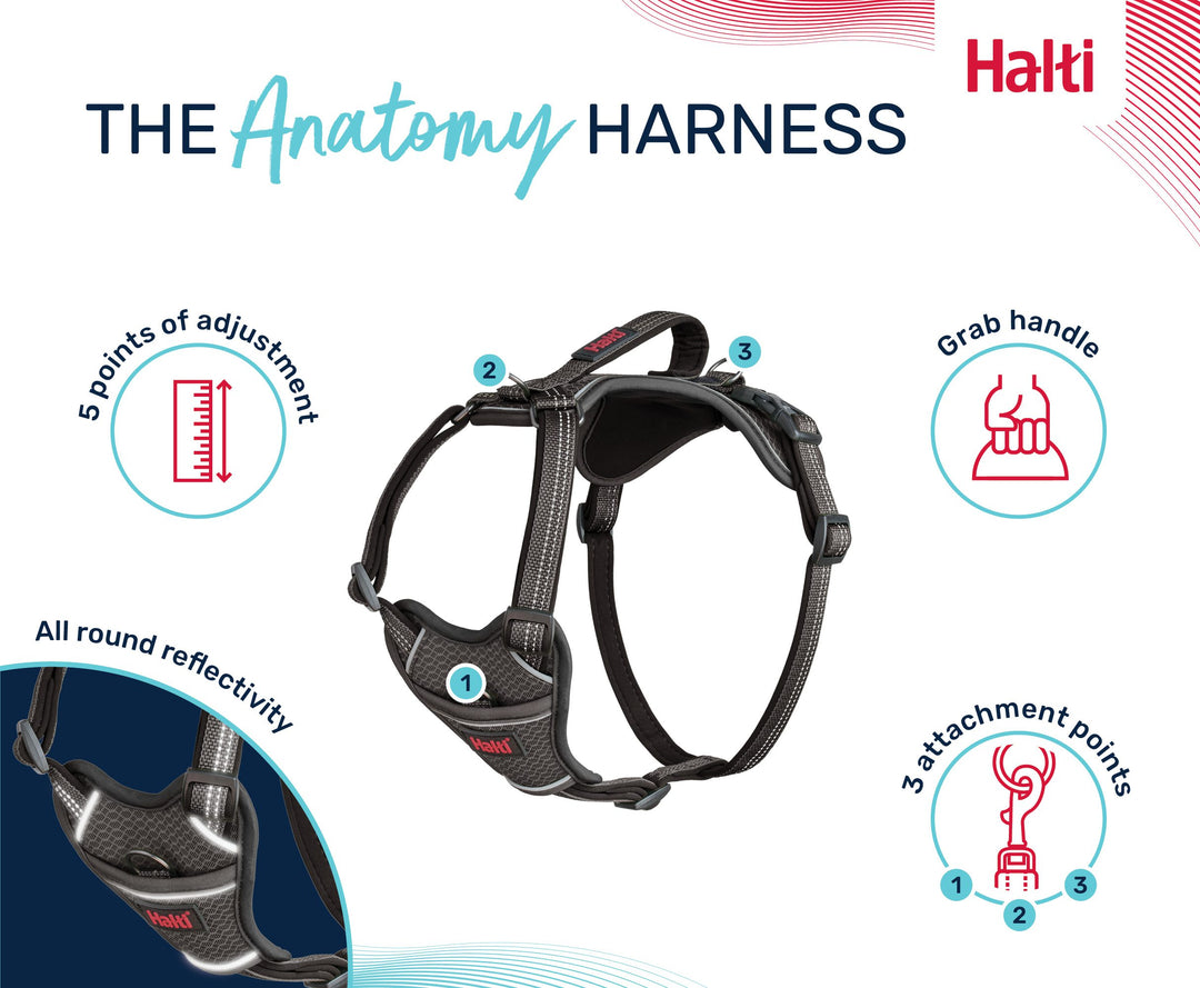 Halti Anatomy Dog Harness