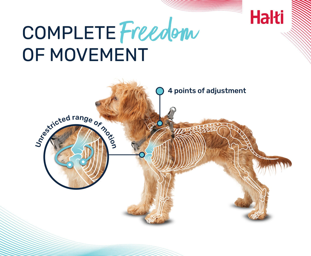 Halti Anatomy Puppy Harness