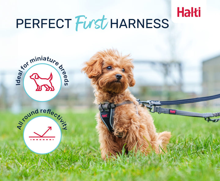 Halti Anatomy Puppy Harness