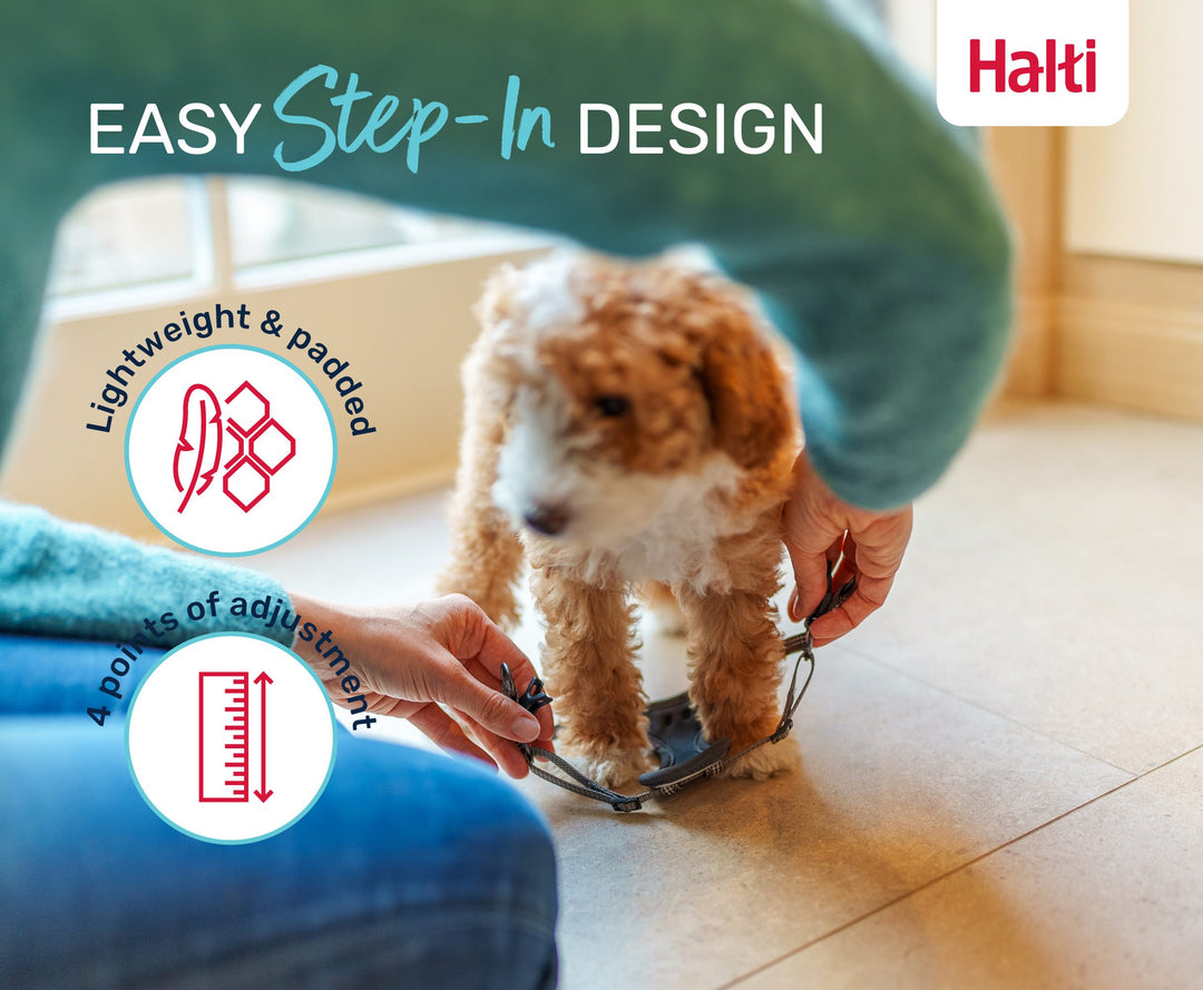 Halti Anatomy Puppy Harness