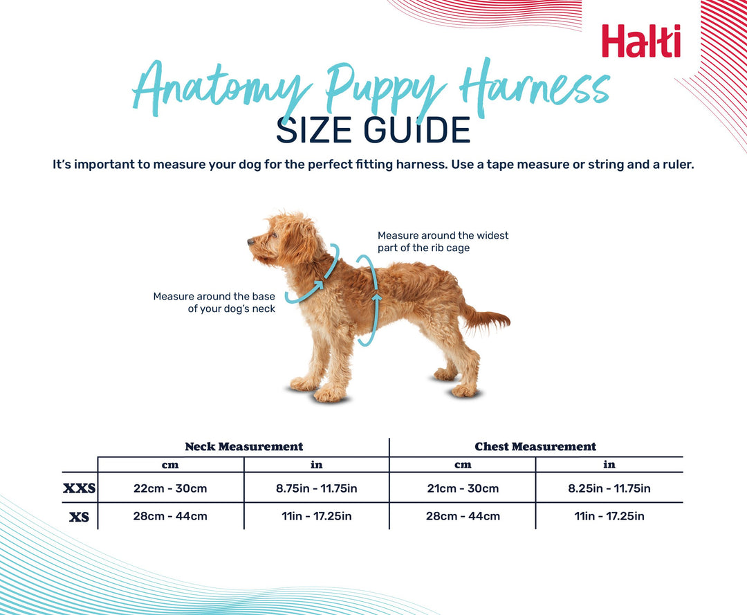 Halti Anatomy Puppy Harness