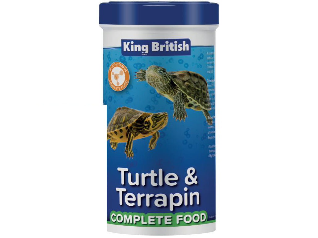 Reptile