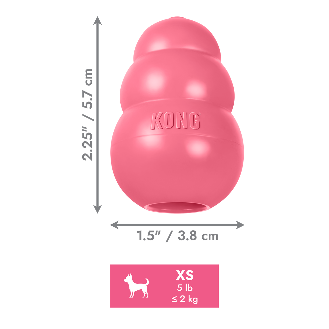 KONG Puppy