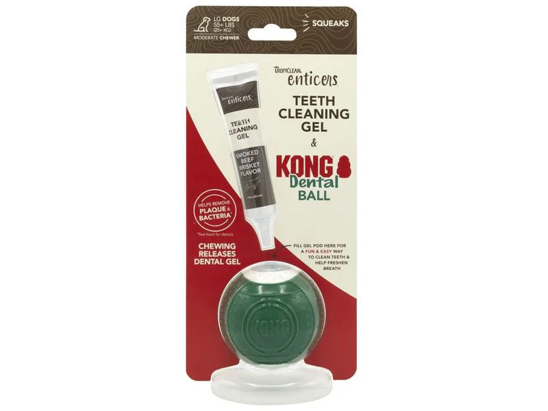 Kong Enticer Dental Ball Kit - PetWorld
