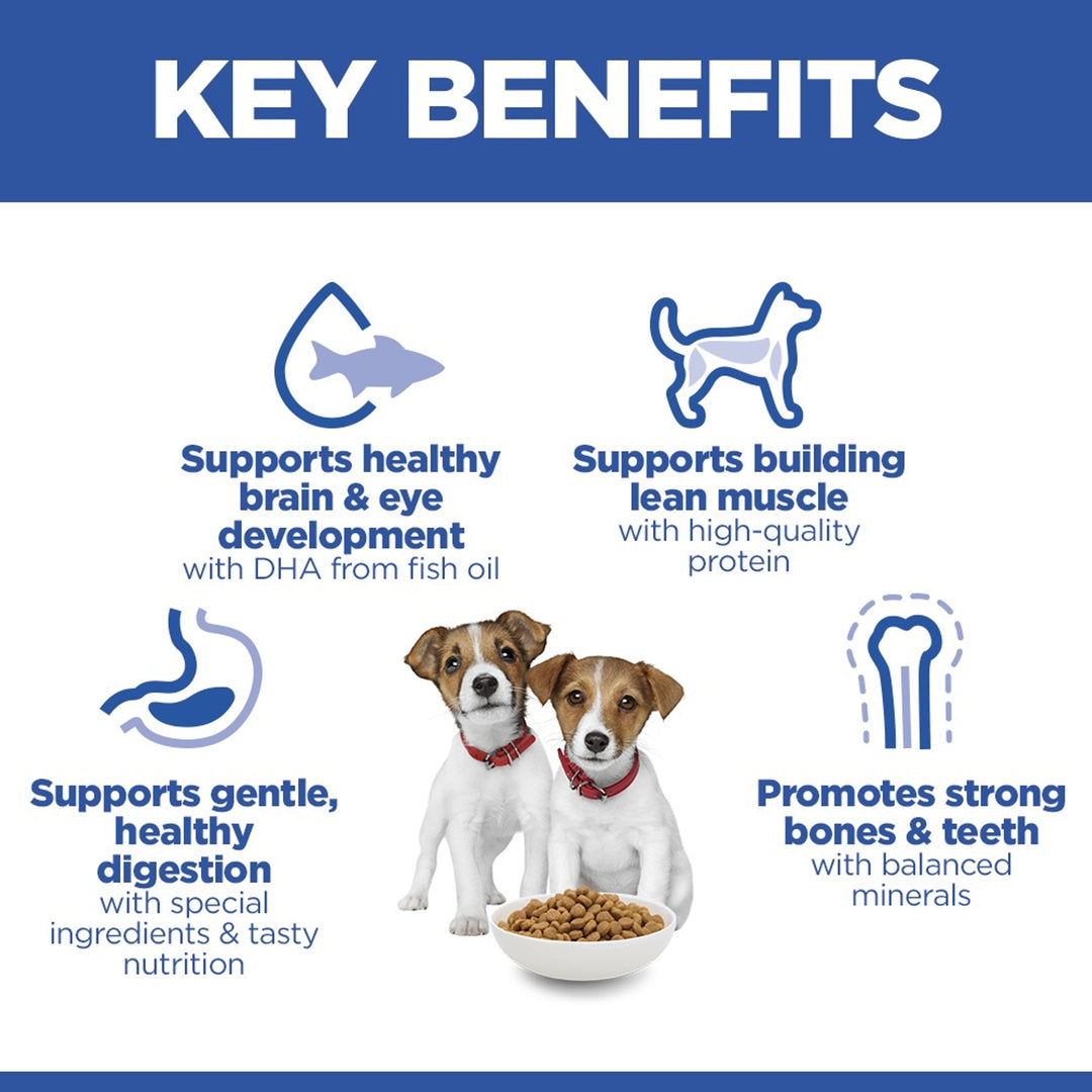 Hill's Science Plan Small & Mini Puppy key benefits: brain and eye development, lean muscle, gentle digestion, strong bones and teeth