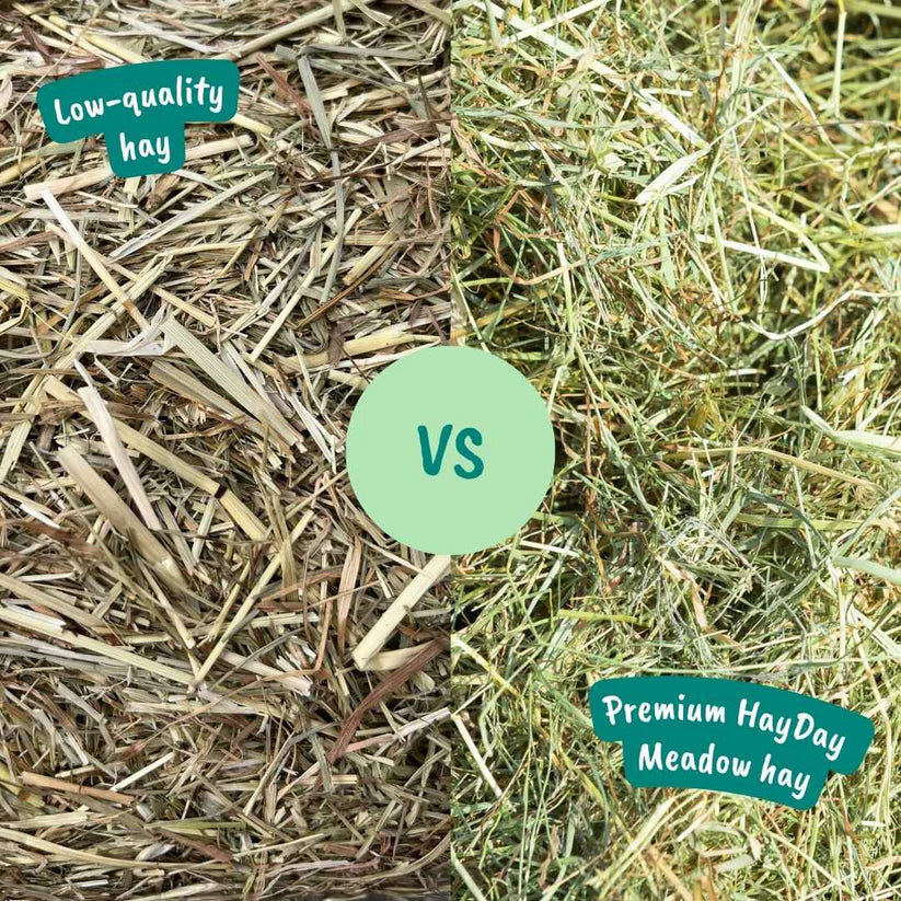 Moreish Meadow Hay