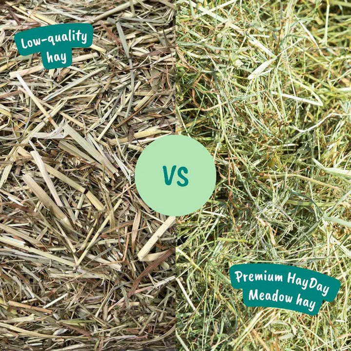 Moreish Meadow Hay
