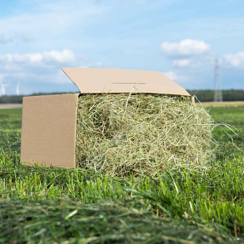 Moreish Meadow Hay