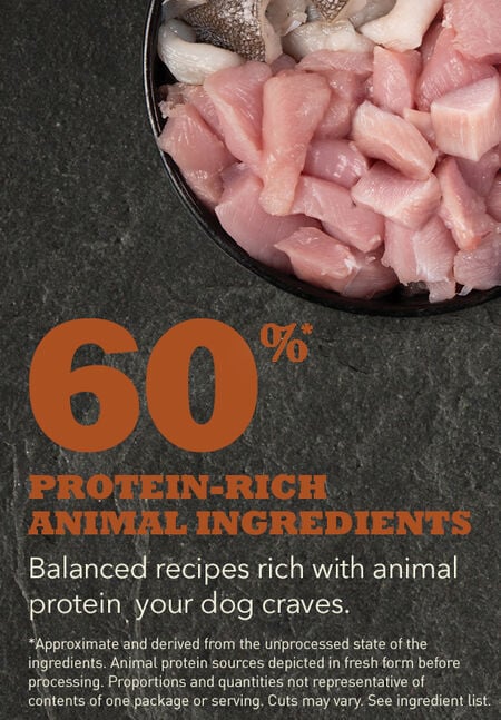 ACANA Adult Large Breed Recipe: 60% protein rich animal ingredients graphic