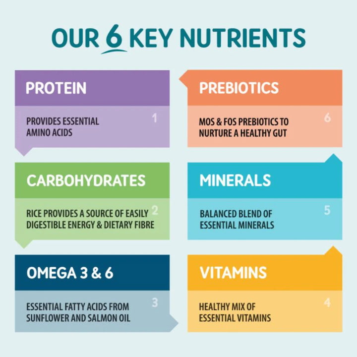 Chart detailing 'Our 6 Key Nutrients' 