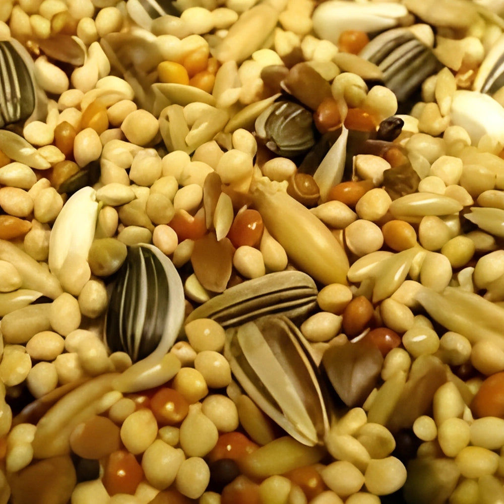 Close-up of a mix of cockatiel seeds and grains including sunflower seeds, corn, and beans.