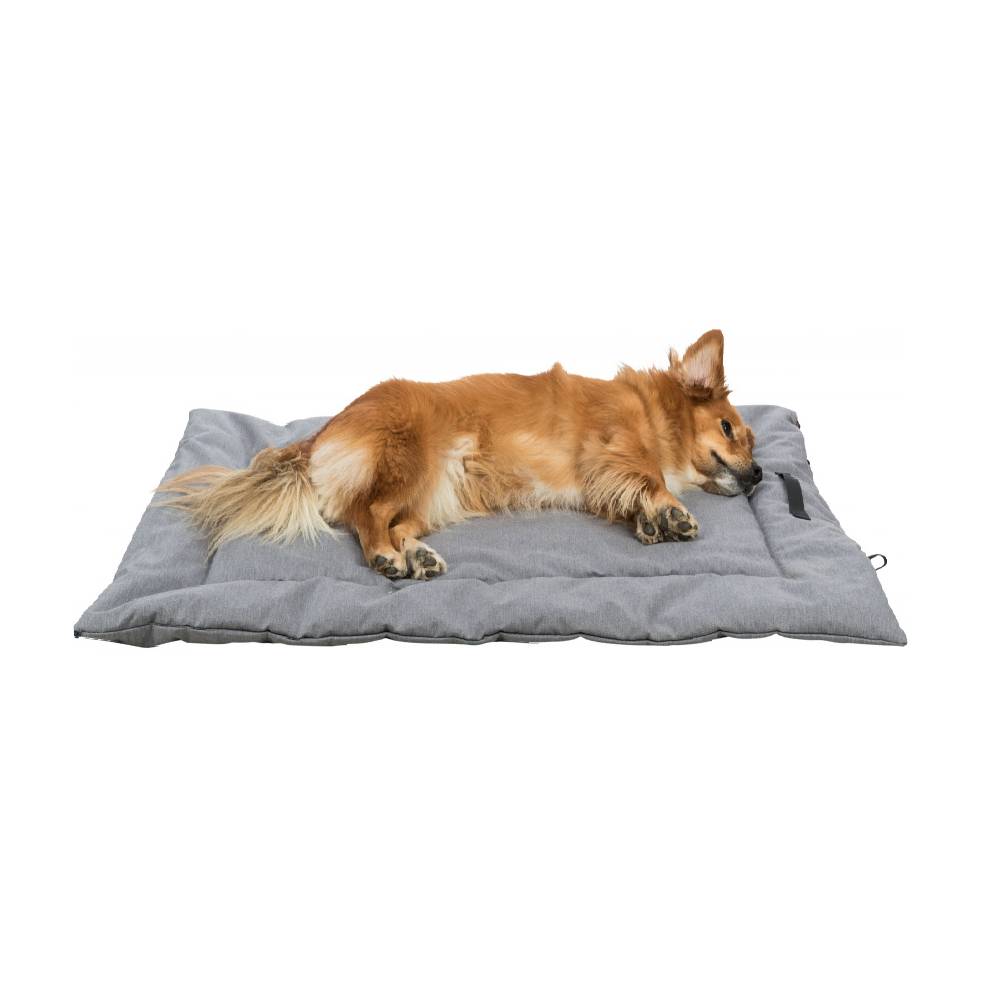 toomy dog travel blanket with dog.