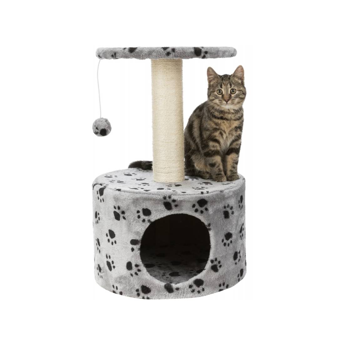 Junior Toledo Scratching Post