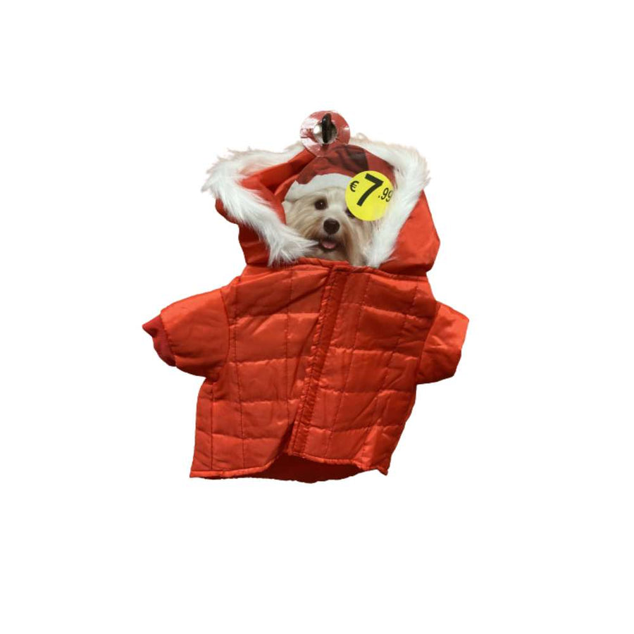 dog red coat
