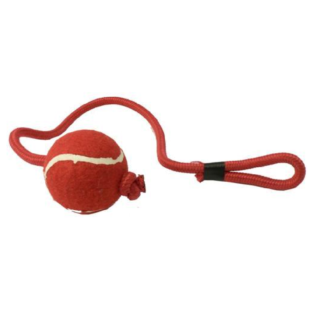 Cheeko Tennis Ball on a Rope