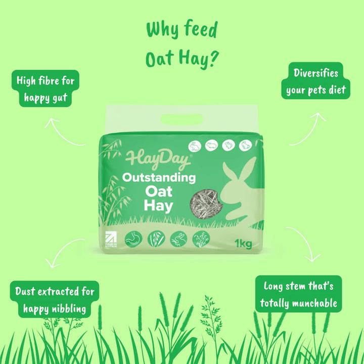 Outstanding Oat Hay 1kg