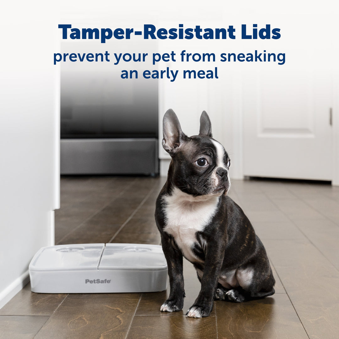 Dog sitting beside the PetSafe 2 Meal Pet Feeder with tamper-resistant lids closed