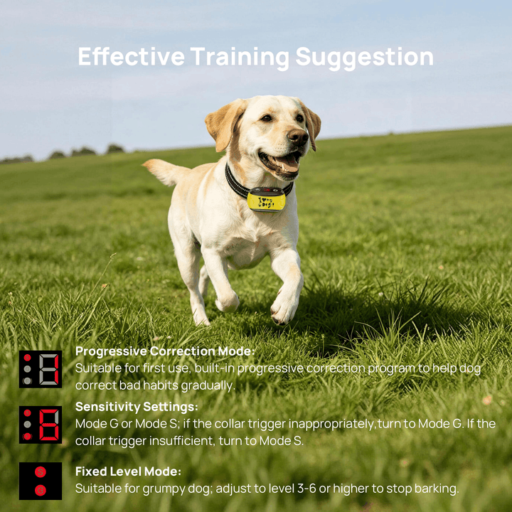 PawGuard Stop Bark Collar training suggestion: progressive, sensitivity and fixed level modes