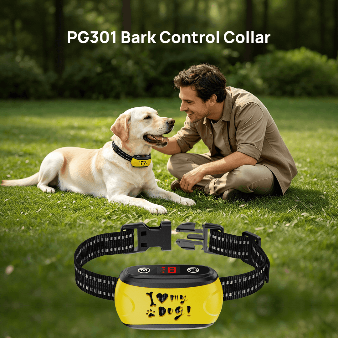 PawGuard Stop Bark Collar lifestyle image with owner and Labrador