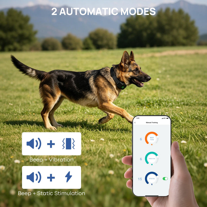PawGuard PG860 GPS dog fence with app, black collar strap