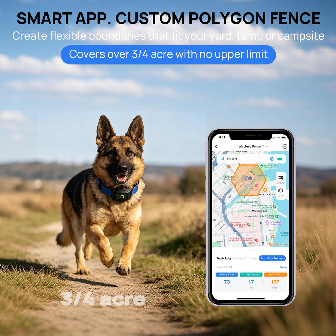 PawGuard PG860 GPS dog fence with app, blue collar strap