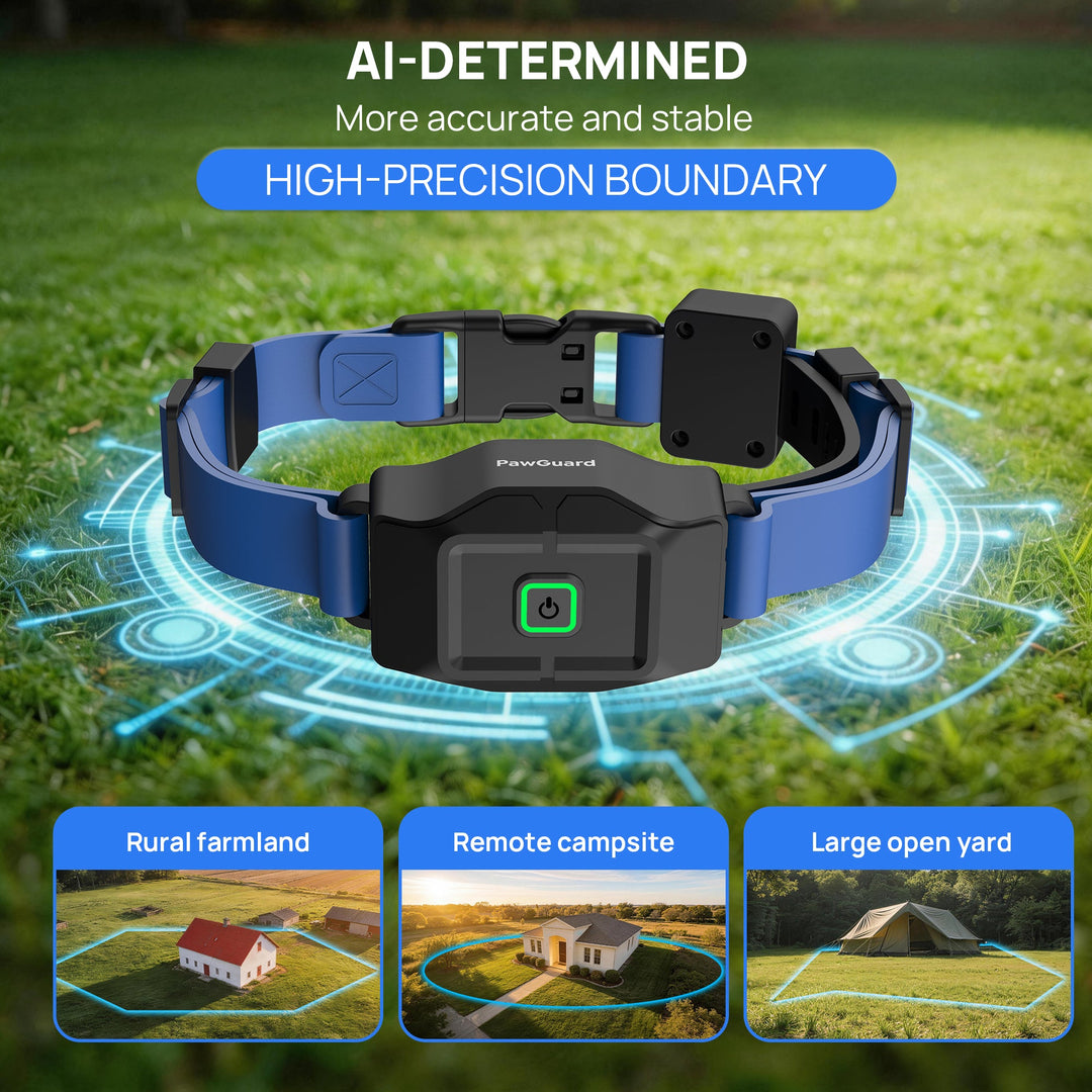 PawGuard PG860 GPS dog fence with app, blue collar strap