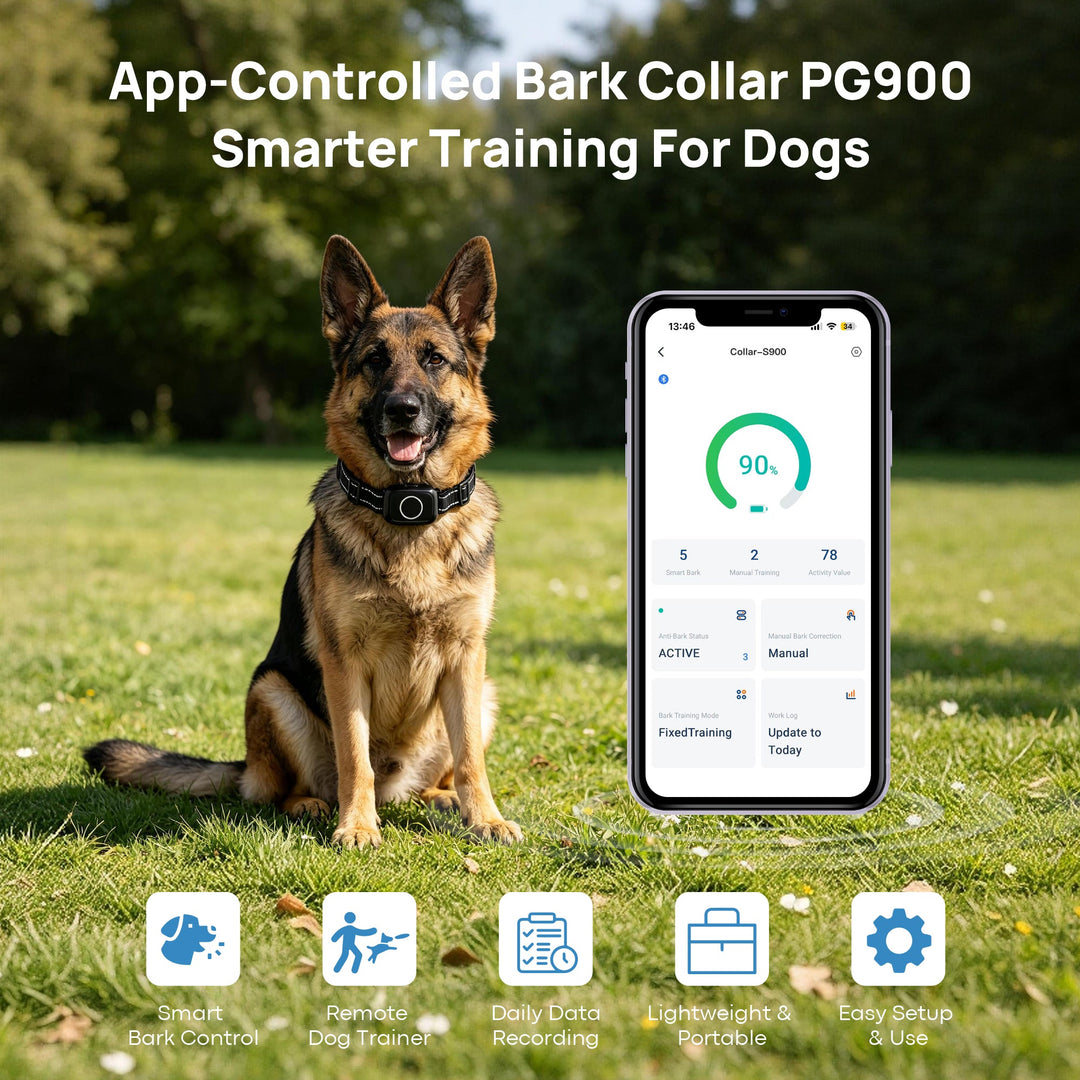 PawGuard PG900 bark collar waterproof and rechargeable design