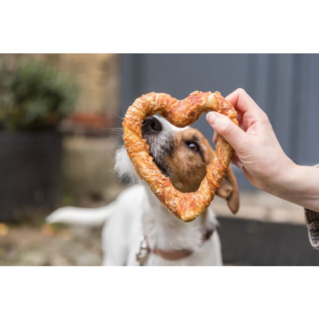 Terrier looking through a Trixie chicken heart chew held by its owner