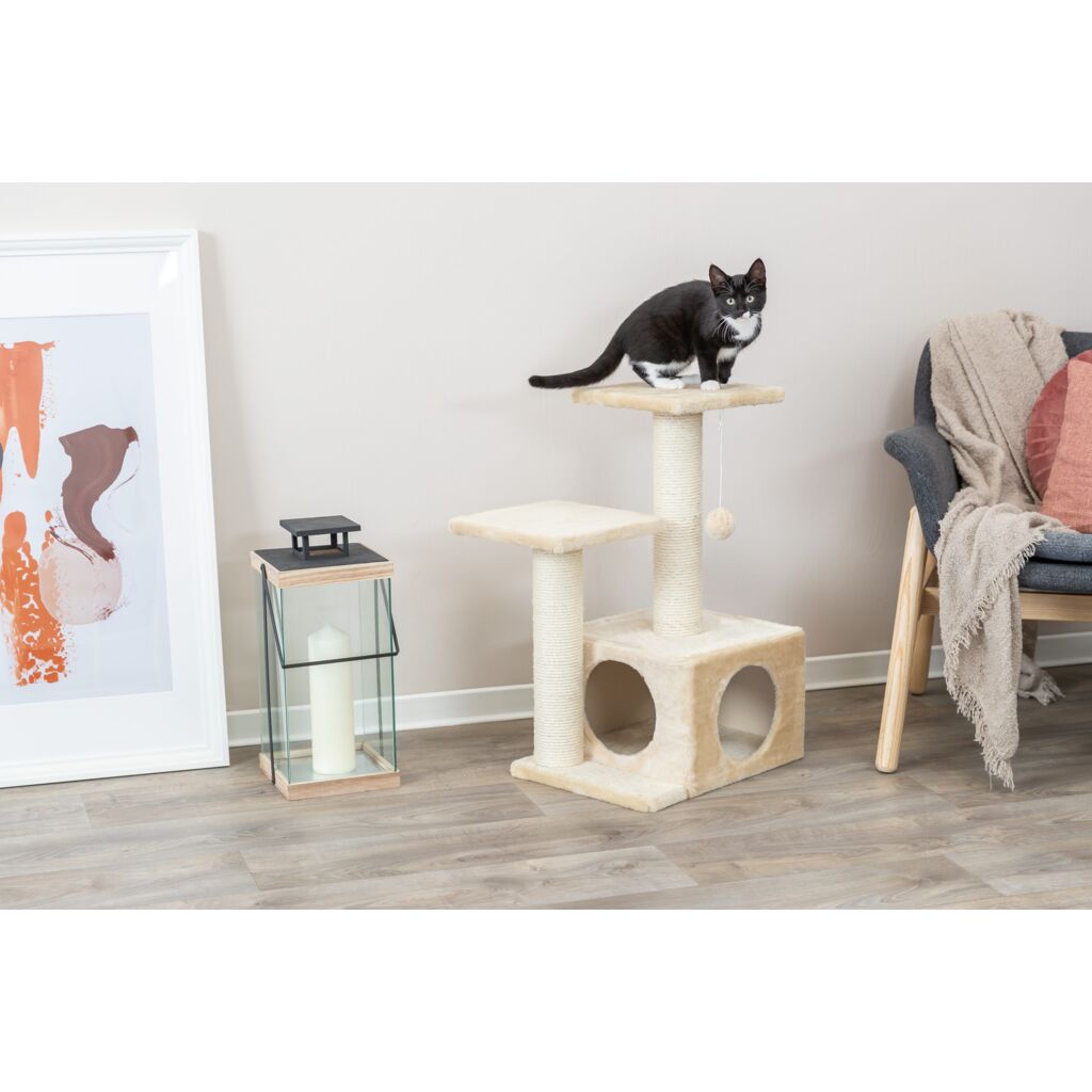 Black and white cat on top of the Trixie Valencia beige scratching post in a living room
