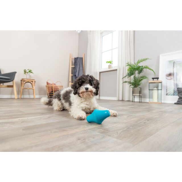 Trixie Dog Snack Spinner 12cm Petrol