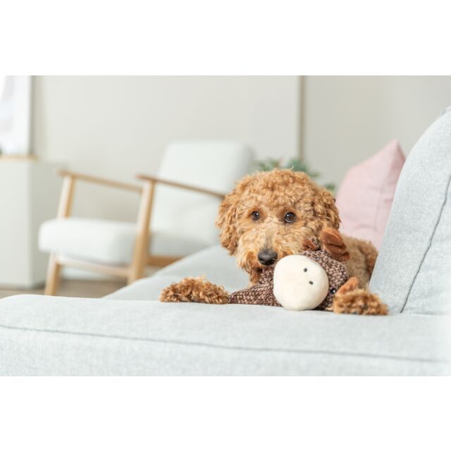 Trixie Moose Plush Dog Toy 36cm