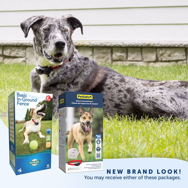 PetSafe Basic In-Ground Fence old and new packaging: either box may be supplied