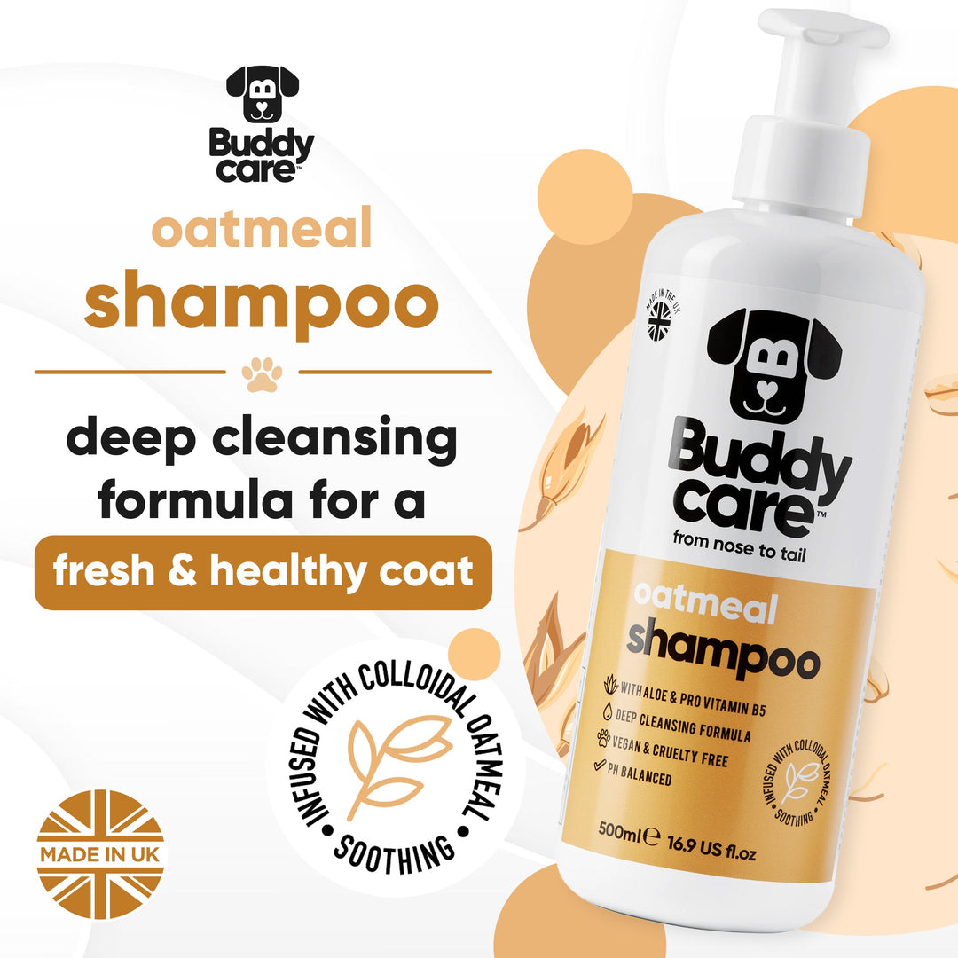 Buddycare Oatmeal Shampoo: deep cleansing formula infused with colloidal oatmeal, made in the UK
